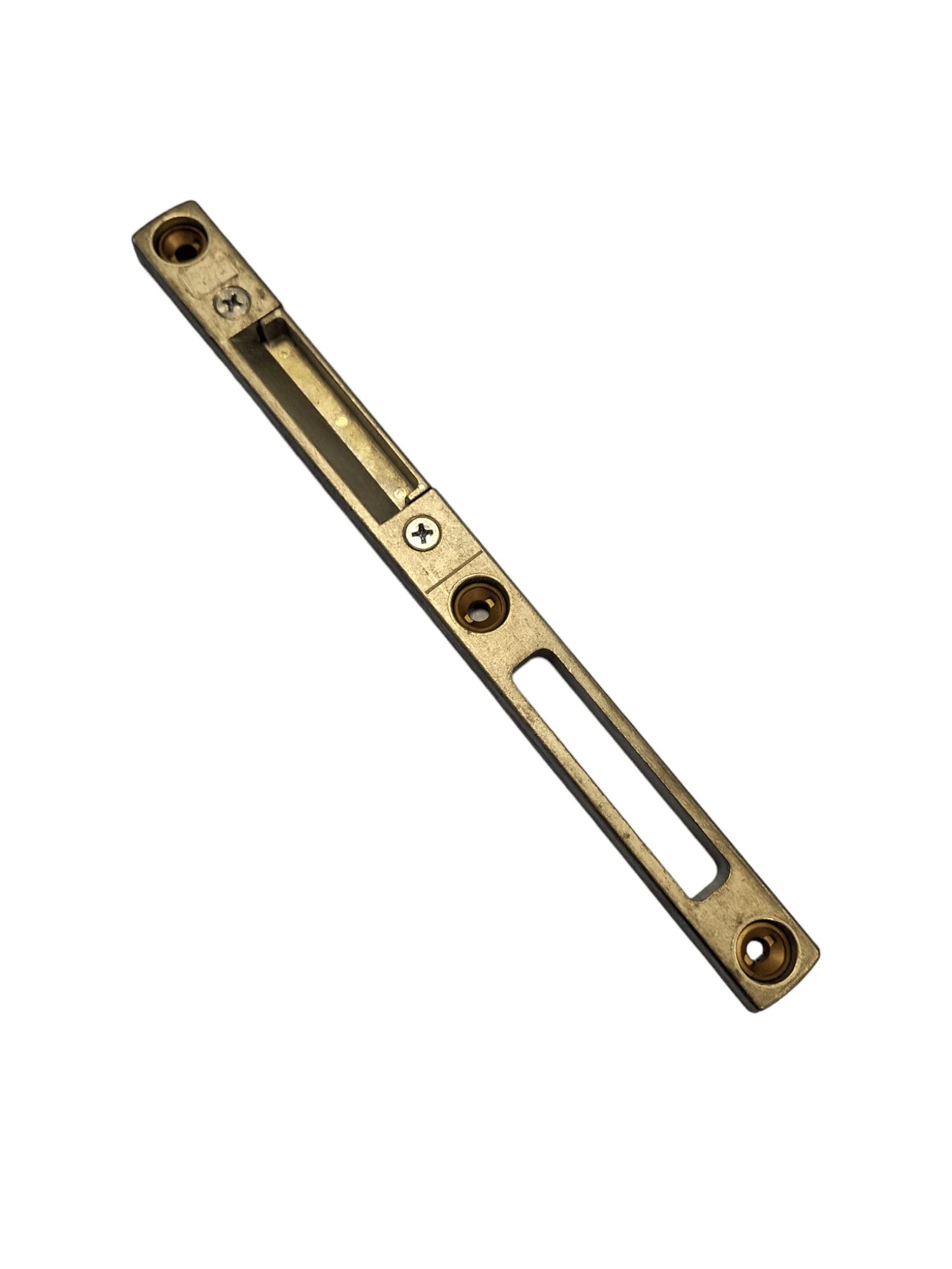 PhotoRoom-20230817_144903 Roto protikus stredový pravý